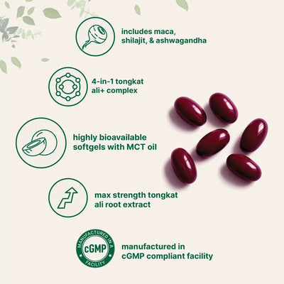Micro Ingredients Tongkat Ali+ for Men with MCT Oil, 240 Softgels