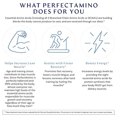 Perfect Amino Powder