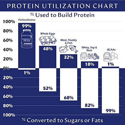 Perfect Amino Powder