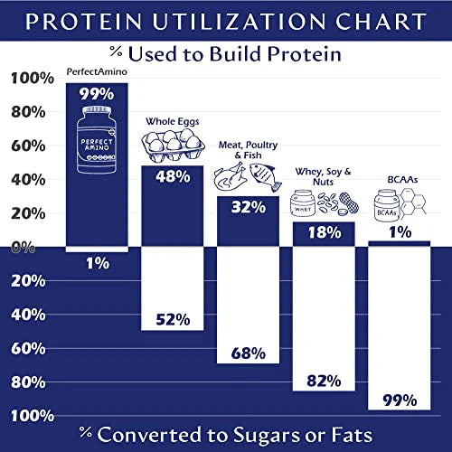 Perfect Amino Powder