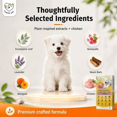 Cassiel Pet Dog Wellness Chews