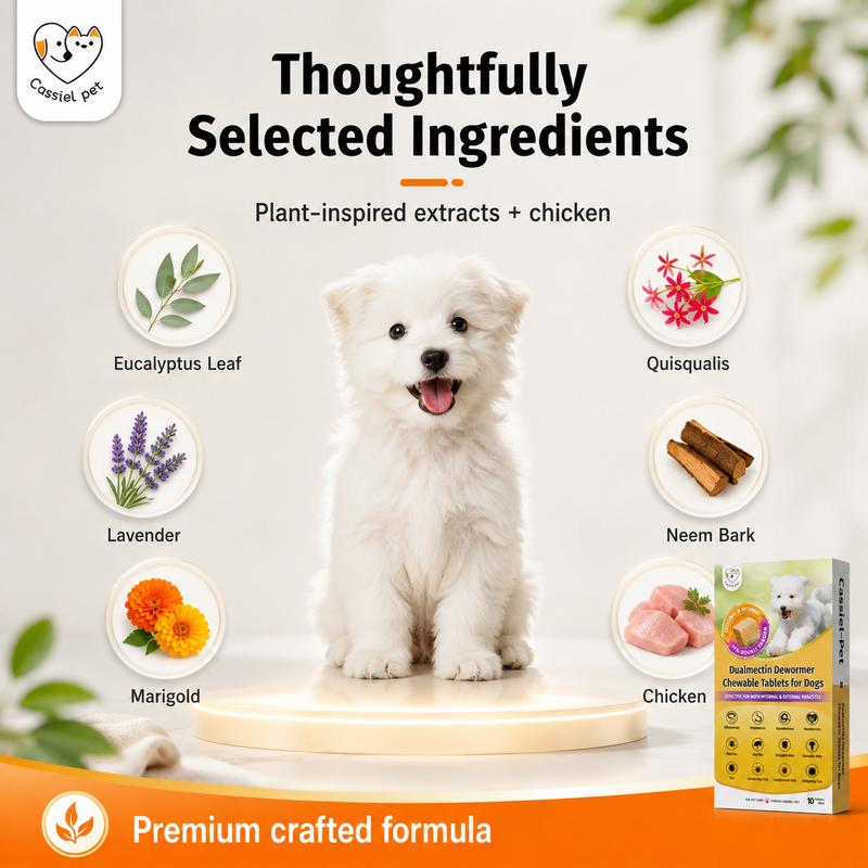 Cassiel Pet Dog Wellness Chews