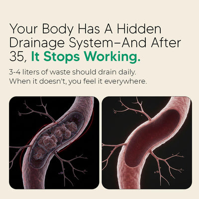 New Maximum Potency Formula - Lymphatic Drainage Capsules by Vitamate™