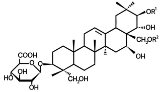Gymnemic acids