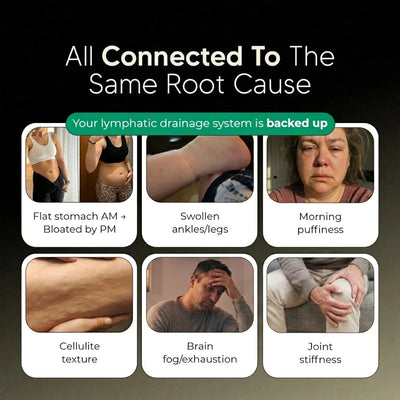 New Maximum Potency Formula - Lymphatic Drainage Capsules by Vitamate™
