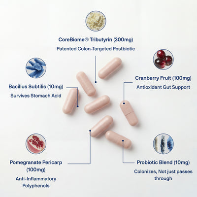 Daily Tribiotic (Pre+Pro+Postbiotic)