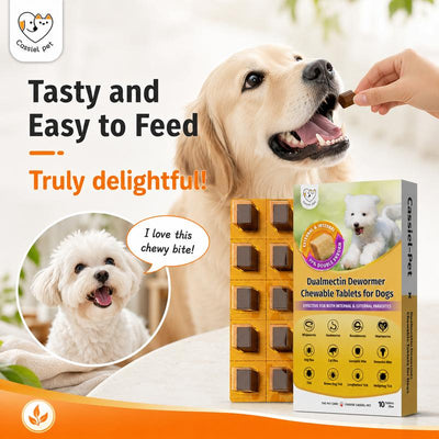 Cassiel Pet Dog Wellness Chews